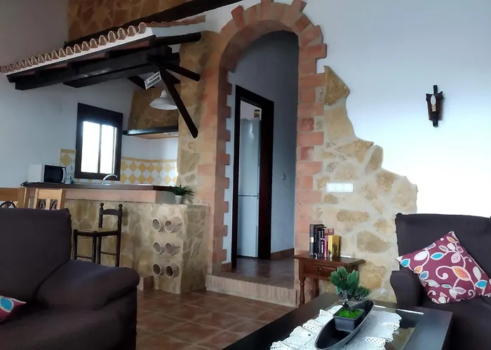 La Sombra Del Lagarto
